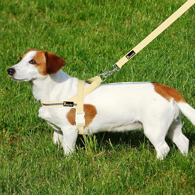 Plutus Pet Cotton Dog Harness and Leash Set, Reflective and Soft Padded, Quick Fit Vest Harness, for Small, Medium and Large Dogs, Light Yellow, M - PAWPICO