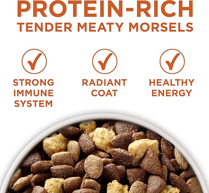 Purina ONE Plus Healthy Weight High-Protein Dog Food Dry Formula - 40 lb. Bag - PAWPICO