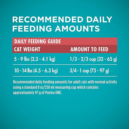 Purina ONE Natural Dry Cat Food, Tender Selects Blend With Real Salmon - 16 lb. Bag - PAWPICO