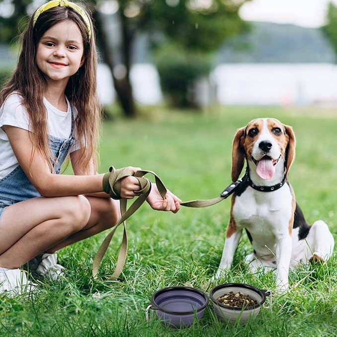 Dog Bowl Pet Collapsible Bowls, 2 Pack Collapsible Dog Water Bowls for Cats Dogs, Portable Pet Feeding Watering Dish for Walking Parking Traveling with 2 Carabiners (Small, Purple & Concrete Gray) - PAWPICO