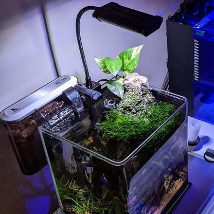 Lominie Aquarium Plant Light, Small LED Aquarium Light Timer, Full Spectrum Nano Fish Tank Light Refugium Light for Freshwater Aquarium Freshwater Planted Tank Lominie