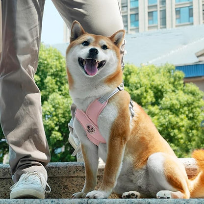 Patas Lague Dog Harness with Leash Set Adjustable Soft Padded Step-in Dog Vest No Choke No Pull Reflective for Small Medium Pets with Poop Bags and Dispenser, Solid and No-chew, Pink S PatasLague