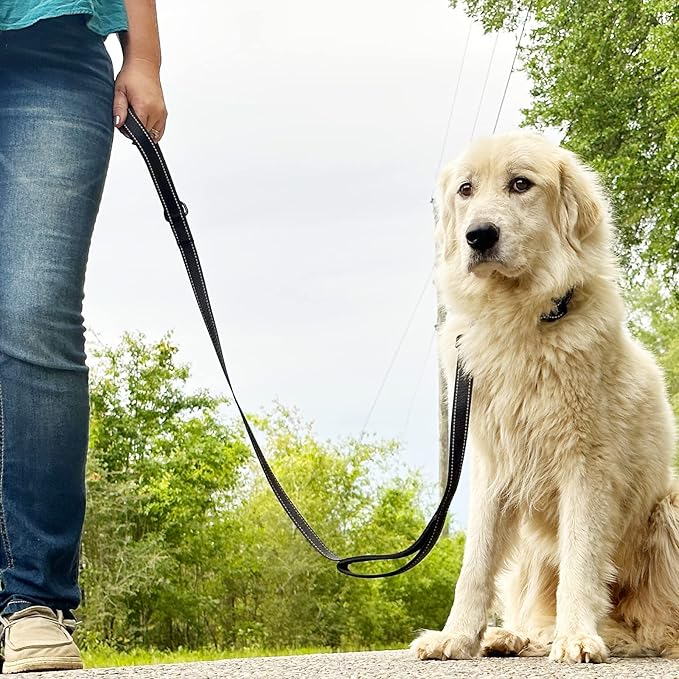 Joytale Dog Leash Heavy Duty for Large Dogs That Pull, Double Handle for Traffic Control, Double-Sided Reflective Leashes for Large Medium Dogs Night Safety, 6FT, Black Joytale