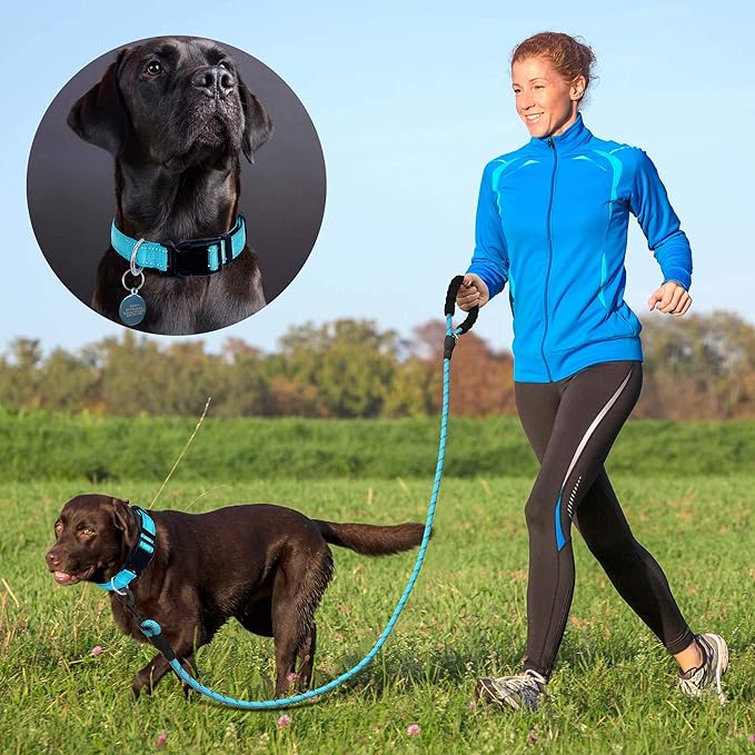 Reflective Dog Collar Padded with Soft Neoprene Breathable Adjustable Nylon Dog Collars for Small Medium Large Dogs (Medium (Pack of 1), Blue Collar+Leash) ladoogo