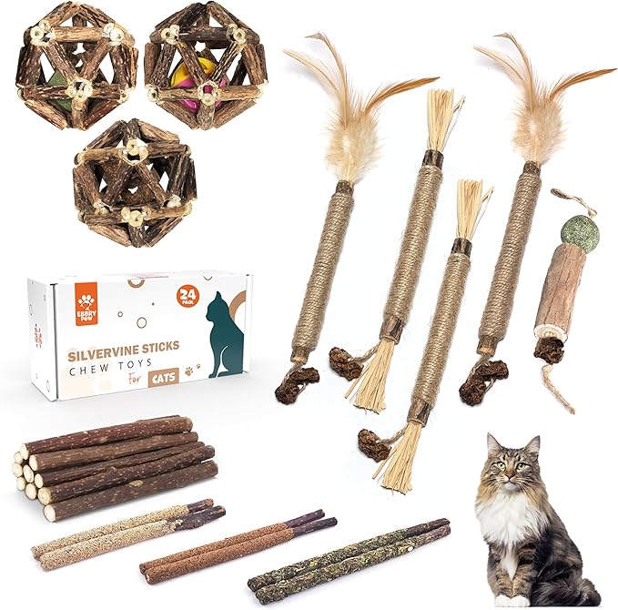 Silvervine Sticks for Cats 24 Pack Silvervine Cat Toy 10 Styles Dental Health and Calming Toy. Catnip, Gall Fruit and Bell Ball Cage Balls. Cleans Teeth & Calms Anxiety for Kitten (24 Pack) - PAWPICO