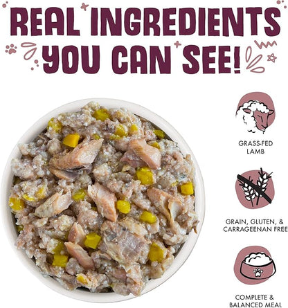 Weruva Classic Dog Food, Hot Dayam! with Lamb in Gelée, 14oz Can (Pack of 12) - PAWPICO