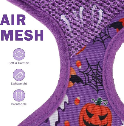 SCENEREAL Small Dog Harness Collar and Leash Set, Adjustable No Pull Pet Harnesses, No Chock Soft Mesh Step in Vest Halloween Costume for Doggie Puppy Dogs Cats Girl Boy Outdoor Walking SCENEREAL