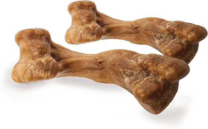 Nylabone Healthy Edibles WILD Natural Long-Lasting Bison Flavor Bone Chew Treats for Dogs, Medium (2 Count) - PAWPICO