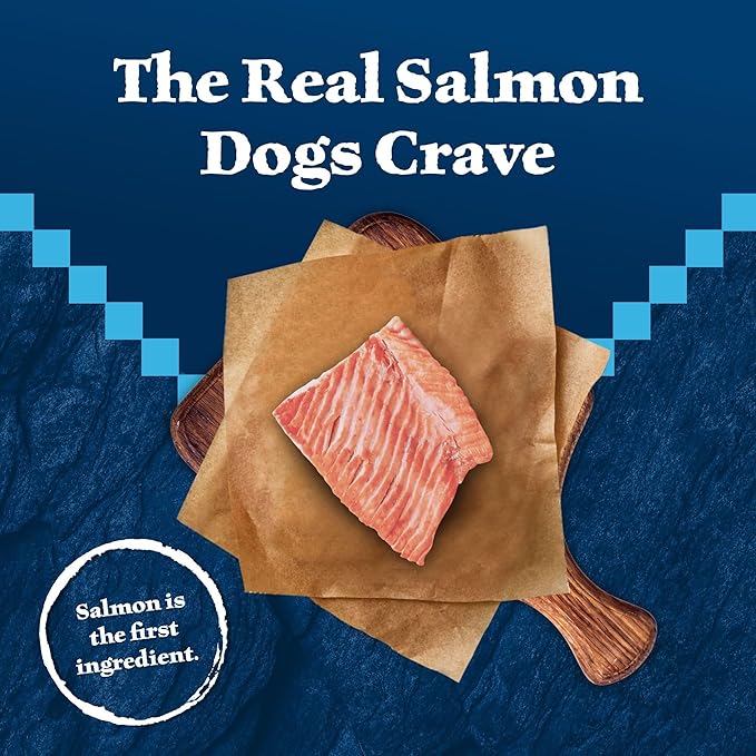 Blue Buffalo Wilderness Trail Treats Crunchy Dog Biscuits, Grain-Free and High-Protein Dog Treats Made with Natural Ingredients, Salmon Recipe 24-oz Bag - PAWPICO