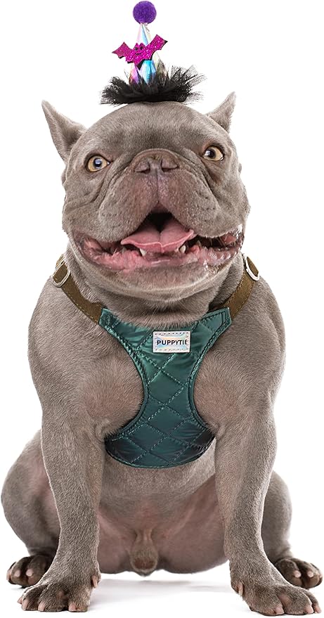 Puppytie No Pull Dog Harness with Multifunction Dog Leash,Soft Adjustable No Choke Escape Proof Pet Harness Vest for Medium Dogs,Glossy Dark Green,M Puppytie