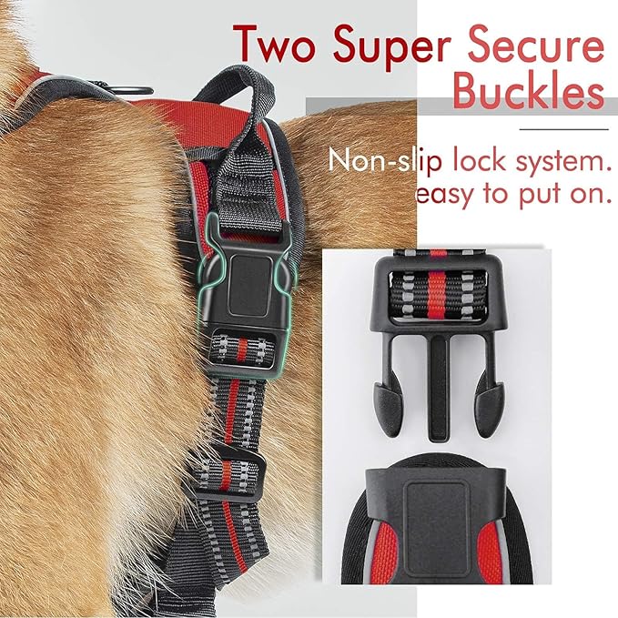 rabbitgoo Dog Harness, No-Pull Pet Harness with 2 Leash Clips, Adjustable Soft Padded Dog Vest, Reflective No-Choke Pet Oxford Vest with Easy Control Handle for Medium Dogs, Red, M - PAWPICO