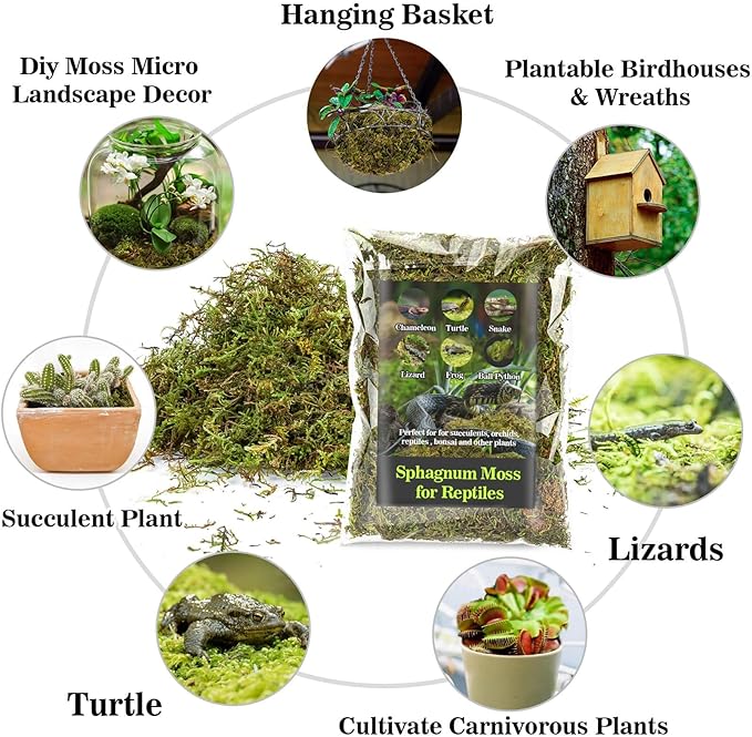 Sukh Sphagnum Moss for Reptiles - Terrarium Moss for Reptiles Peat Moss for Reptiles Habitat Bedding Moss for Snakes Turtle Frog Gecko and Other Reptiles Substrate (3, Ounces) Sukh