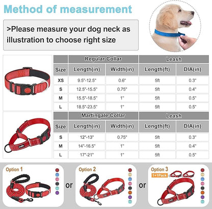 haapaw 2 Packs Martingale Dog Collar with Quick Release Buckle Reflective Dog Training Collars for Small Medium Large Dogs haapaw