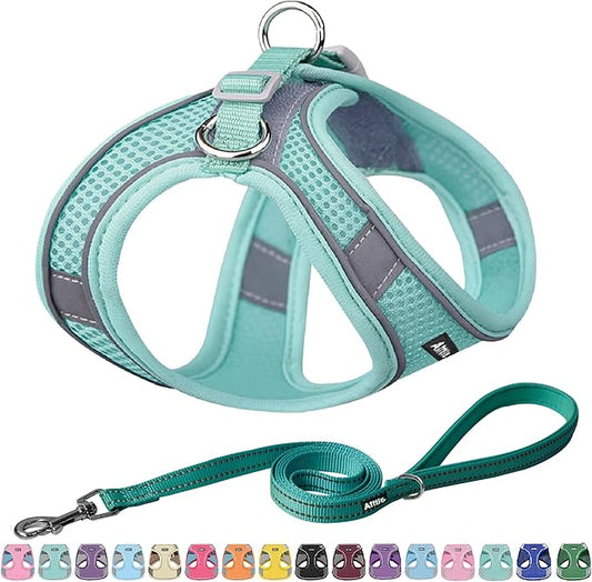 AIITLE Dog Harness, Spring No-Pull Cat Harness with a Leash, Adjustable Reflective Dog Vest, Cat Harness Escape Proof, Outdoor Walking, Camping for Extra Small Dogs and House Cats Pure Turquoise XXXS AIITLE-FORPETSBETTERLIFE