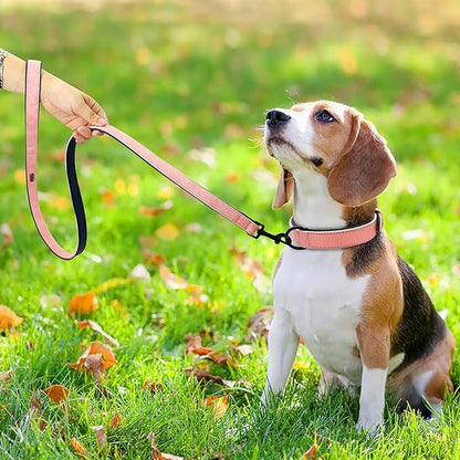 Didog Soft Padded Leather Dog Collar and Leash Set, Heavy Duty Pink Dog Leash and Collar Set with Metal Buckle, Breathable Dog Collars with 4FT Leather Dog Leash for Small Medium Large Dogs, Pink, M Didog