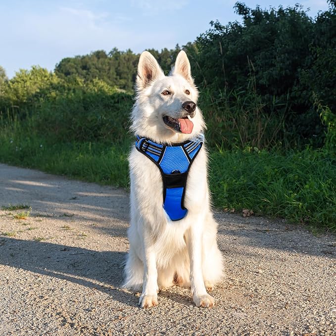 Eagloo Dog Harness Large Breed, No Pull Service Vest with Reflective Strips and Control Handle, Adjustable and Comfortable for Easy Walking, No Choke Pet Harness with 2 Metal Rings, Blue, XL GoExplorewithEagloo