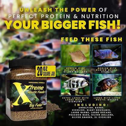 Xtreme Big Fella 3.0mm Pellets: Professional Nutrition for Medium to Large Cichlid/Community Fish - Boost Immune & Digestive Health, Color & Energy, Max Protein Fish Food – USA Farm Grown (20oz) XtremeAquaticFoods
