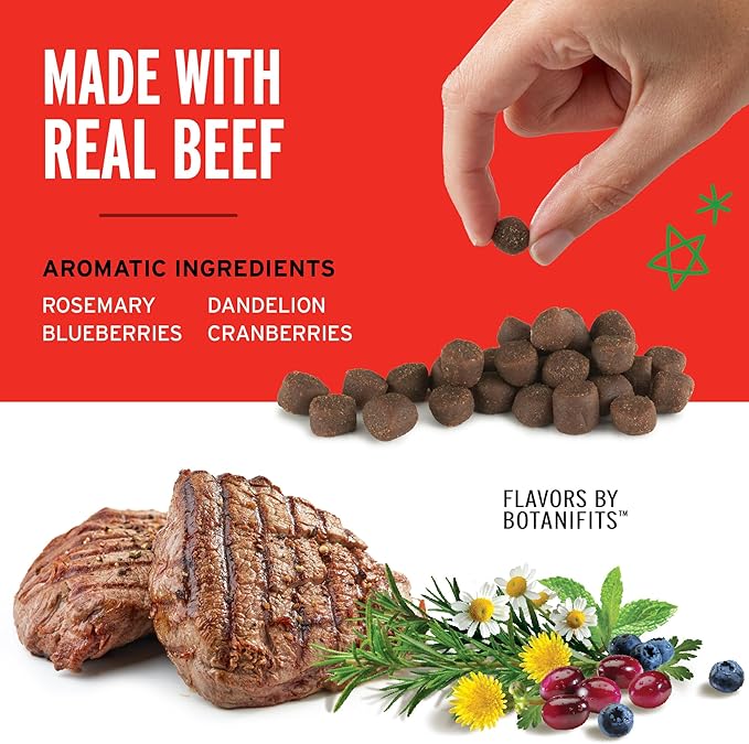 Pet Botanics Training Rewards Treats, Beef, 20 Ounces - PAWPICO