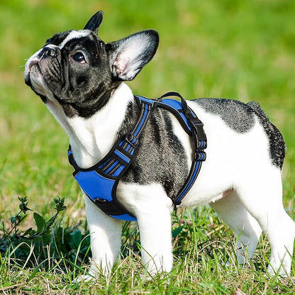 Eagloo Dog Harness Small Sized Dog, No Pull Service Vest with Reflective Strips and Control Handle, Adjustable and Comfortable for Easy Walking, No Choke Pet Harness with 2 Metal Rings, Blue, S GoExplorewithEagloo