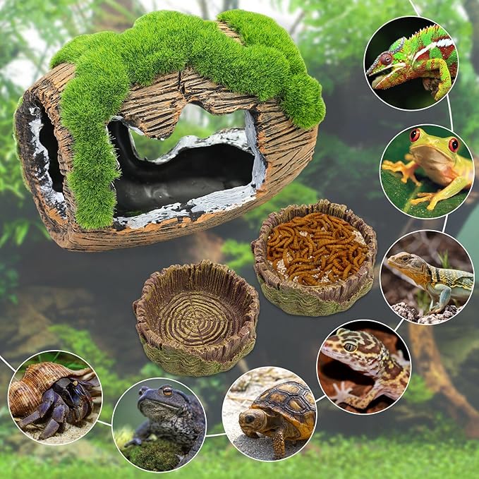 Gecko Hide Cave with 2Pcs Feeder, Reptile Hideout for Hermit Crab, Bearded Dragon,Lizard,Turtles,Snake Reptile Hideout Cave,Reptile Habitat Terrarium Tanks Decor Accessorie Dexspoeny