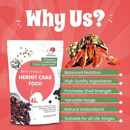 Snout and Shell Berry Hibiscus Hermit Crab Food - Colorful Blend Diet of Hibiscus Flowers, Blueberries, Hemp Seed, Coconut Chips & White Birch Bark - Aquatic Pet Animal Snack Treat | 25g, Multi SNOUTANDSHELL