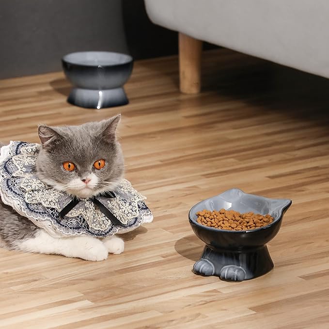 Nihow Ceramic Raised Cat & Dog Bowls: 5 Inch Elegant Gray (2 PC), Protecting Pet's Spine, Feeding & Watering Supplies, Modern Design, Anti Vomiting, Whisker Friendly - PAWPICO
