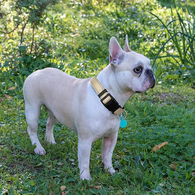 Reflective Dog Collar Padded with Soft Neoprene Breathable Adjustable Nylon Dog Collars for Small Medium Large Dogs (Small (Pack of 1), Vanilla Collar+Leash) ladoogo