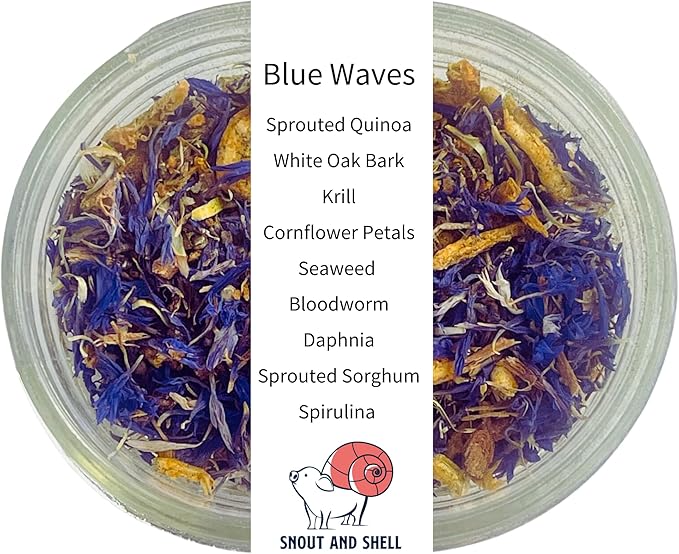 Snout and Shell Hermit Crab Food - Eco Animal Pet Snack Treat for Protein & Nutrients - Aquatic Pet Animal Snack Treat (BlueWaves) SNOUTANDSHELL