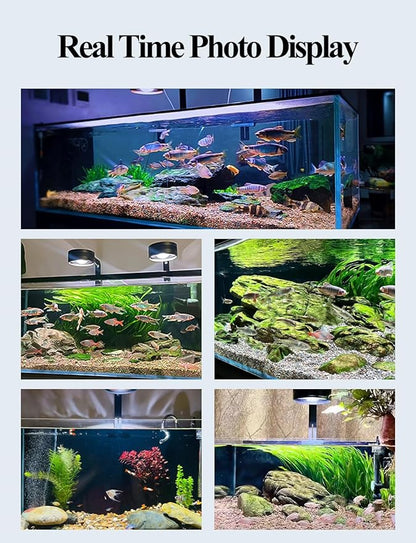 UPETTOOLS Full Spectrum COB LED Aquarium Light, 70 Watts Fish Tank Light Clip On Adjustable Brightness with Adapter and Timer Function for Saltwater Freshwater Refugium Fish Tank UPETTOOLS