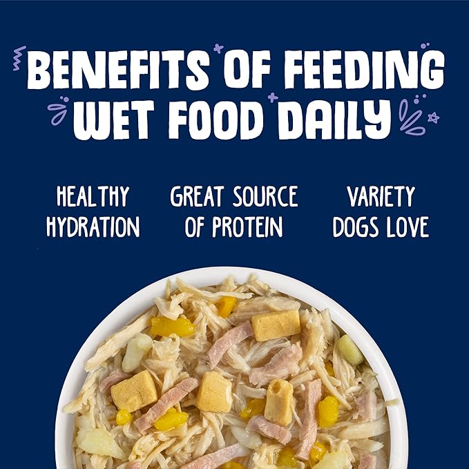 Weruva Classic Dog Food, Bed & Breakfast with Chicken, Egg, Pumpkin & Ham in Gravy, 14oz Can (Pack of 12) - PAWPICO