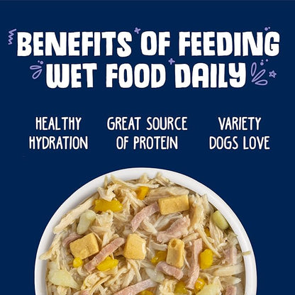 Weruva Classic Dog Food, Bed & Breakfast with Chicken, Egg, Pumpkin & Ham in Gravy, 14oz Can (Pack of 12) - PAWPICO