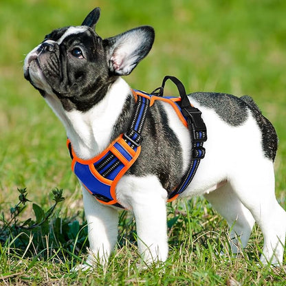 Eagloo Dog Harness for Large Dogs, No Pull Service Vest with Reflective Strips and Control Handle, Adjustable and Comfortable for Easy Walking, No Choke Harness with 2 Metal Rings, Blue & Orange, S GoExplorewithEagloo