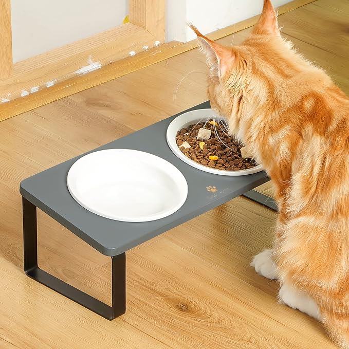 Sunhoo Ceramic Elevated Cat Bowls, Raised Puppy Dishes for Food and Water, Tilted Bamboo Stand for Anti Vomiting, Indoor 5.5 inch Wide Double Dish Orthopedic Anti-Vomiting (Grey) - PAWPICO