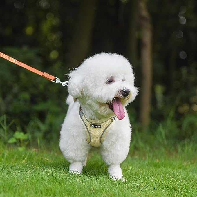 AIITLE No Pull Dog Harness and Leash Set, Step in Adjustable Dog Harness with Padded Vest for All Weather, Dog Leash with Soft Padded Handle, Easy to Put on Small and Medium Dogs Beige S AIITLE-FORPETSBETTERLIFE