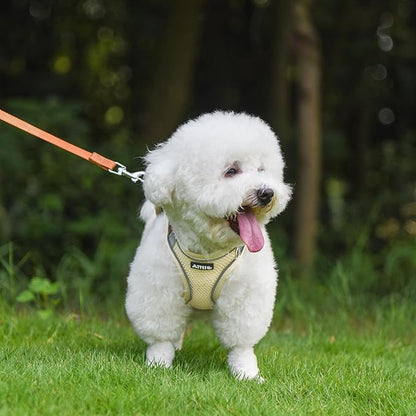 AIITLE No Pull Dog Harness and Leash Set, Step in Adjustable Dog Harness with Padded Vest for All Weather, Dog Leash with Soft Padded Handle, Easy to Put on Small and Medium Dogs Beige S AIITLE-FORPETSBETTERLIFE
