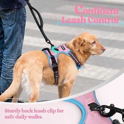 rabbitgoo Dog Harness No Pull with 2 Leash Clips, Adjustable Soft Padded, Reflective Oxford No Choke Pet Vest with Easy Control Handle for Medium Sized Dogs, Pink & Blue, M rabbitgoo