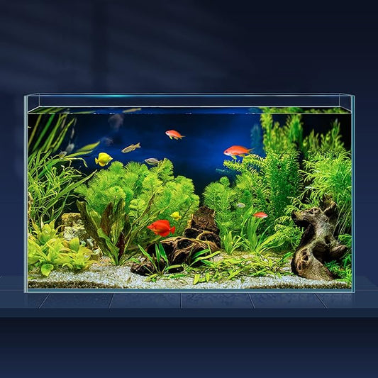 10 Gallon Ultra Clear Glass Fish Tank, Rimless Low Iron Aquarium for Betta/Nano/Goldfish/Snail/Shrimp, Big Fish Tank & Cover Set & Feeding Ring & Cleaning Tools LAQUAL