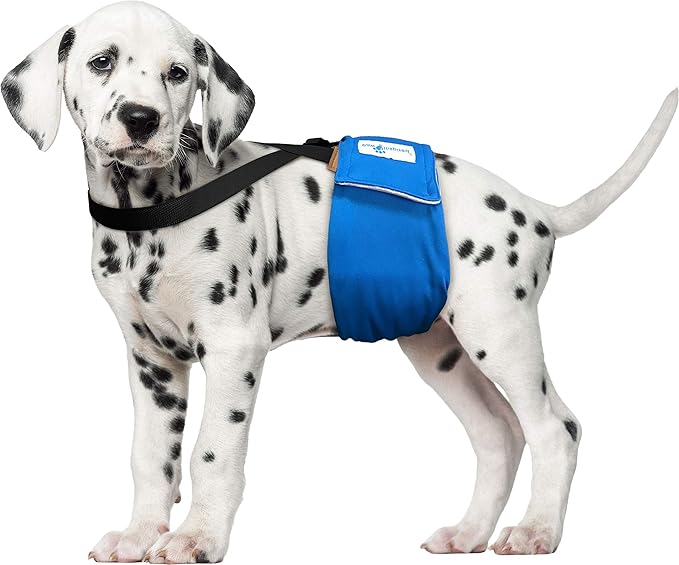 Paw Inspired Dog Diaper Suspenders with Velcro Fasteners | Stretchy Adjustable Suspenders for Female and Male Disposable and Washable Diapers | Fits Small, Medium and Large Size Pets (XS/S, Black) - PAWPICO