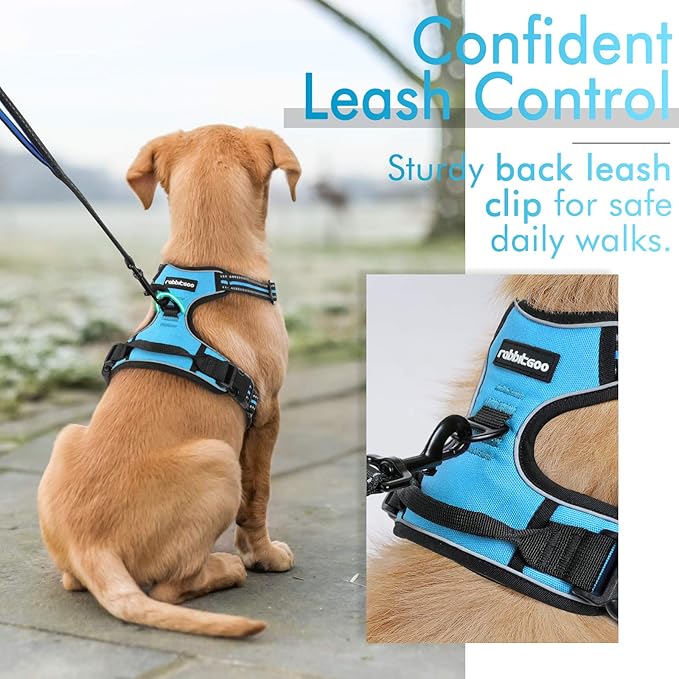 rabbitgoo Dog Harness, No-Pull Pet Harness with 2 Leash Clips, Adjustable Soft Padded Dog Vest, Reflective No-Choke Pet Oxford Vest with Easy Control Handle for Small Dogs, Blue, S - PAWPICO