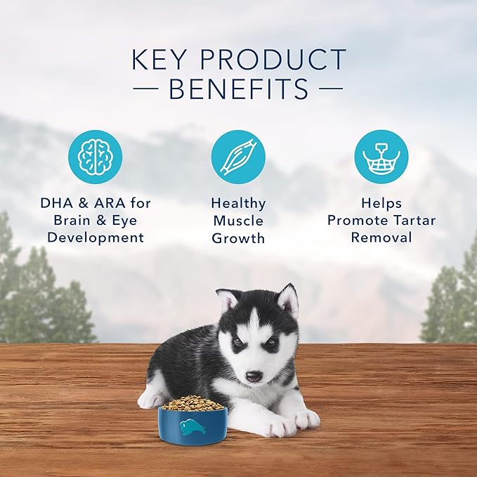 Blue Buffalo Wilderness Rocky Mountain Recipe High Protein, Natural Puppy Dry Dog Food, Red Meat 4-lb - PAWPICO