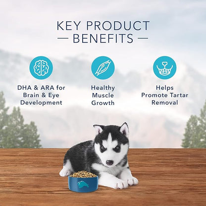 Blue Buffalo Wilderness Rocky Mountain Recipe High Protein, Natural Puppy Dry Dog Food, Red Meat 4-lb - PAWPICO