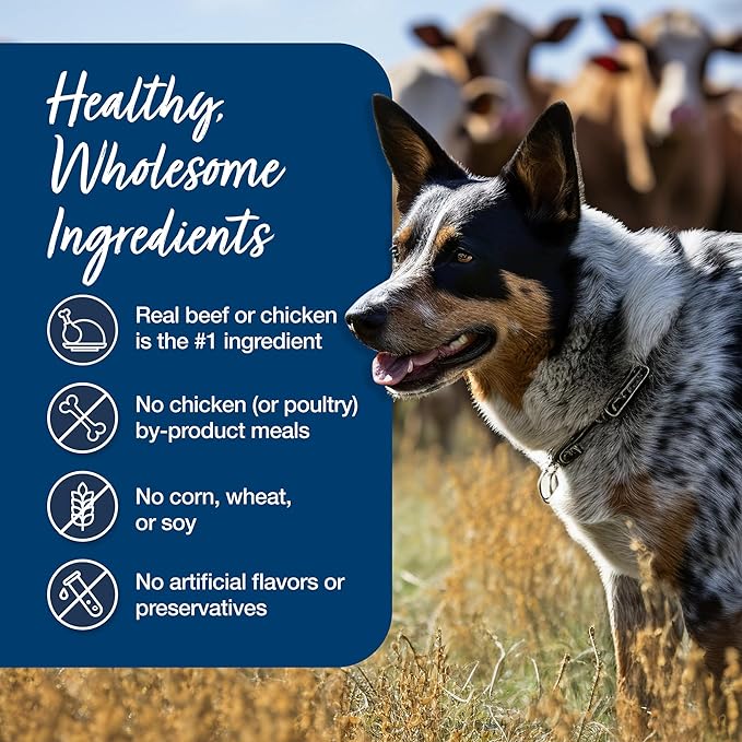 Blue Buffalo Blue's Stew Natural Wet Dog Food, Made with Natural Ingredients, Hearty Beef and Country Chicken Variety Pack, 12.5-oz. Cans, 6 Count - PAWPICO