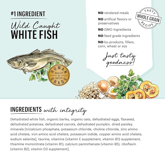 The Honest Kitchen Human Grade Dehydrated Whole Grain Dog Food – Complete Meal or Dog Food Topper – Fish 10 lb (makes 40 lbs) (Pack of 1) - PAWPICO