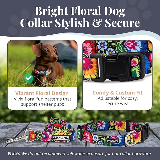 Lucky Love Dog - Easy Click Buckle Dog Collar with Leash Set Combo, Durable & Comfortable Collar for Male & Female Dogs, Pet Collar for Small to Large Dogs, Secure Fit - Blackbird Combo, X-Small LuckyLoveDog