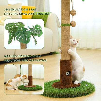Cat Scratching Post for Indoor Cats and Kitten - 35.43" Tall Cat Scratching Post with Sisal Rope,Palm Tree Cat Scratch Post with Hanging Ball - PAWPICO