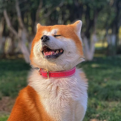 Dog Collar,Genuine Leather Dog Collar,Heavy Duty Dog Collar,Valentines Dog Collar for Small Dog, Medium Dog,Large Dog and Extra Large Dog (M: 1" Wide for 15.2"-19.2" Neck,Dual Stitch - Pink) DAIHAQIKO