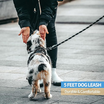 BAAPET 2/4/5/6 FT Dog Leash with Comfortable Padded Handle and Highly Reflective Threads for Small Medium and Large Dogs (5FT-1/2'', Black) - PAWPICO