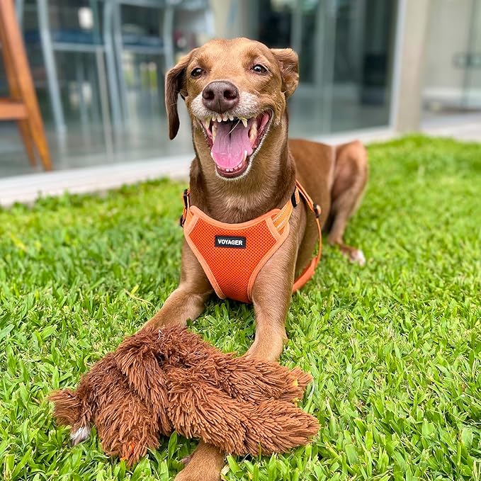Best Pet Supplies Voyager Adjustable Dog Harness Leash Set with Reflective Stripes for Walking Heavy-Duty Full Body No Pull Vest with Leash D-Ring, Breathable All-Weather - Harness (Orange), S BestPetSuppliesLLC