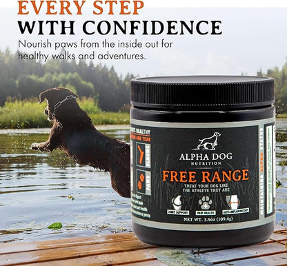 Free Range Joint Health Enhancer Supplement Powder for Dogs by Alpha Dog Nutrition - Premium Dog Arthritis Vitamins to Care for Joints - Contains Glucosamine, Chondroitin, MSM, Vitamin E, & More AlphaDogNutrition