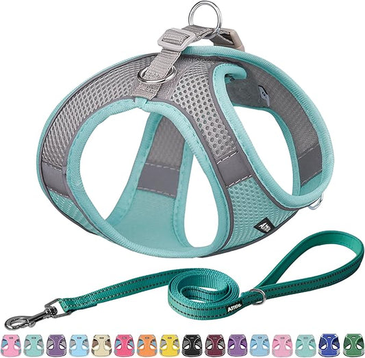 AIITLE Small Harness for Puppy with A Leash - Spring Dog Vest Harness with Super Breathable Mesh, Reflective No-Pull Pet Harness for Outdoor Walking, Camping for Small Dogs, Cats Turquoise XXS AIITLE-FORPETSBETTERLIFE